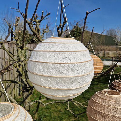 Lampion Ecru in twee maten