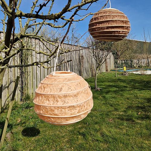 Lampion Zand in twee maten