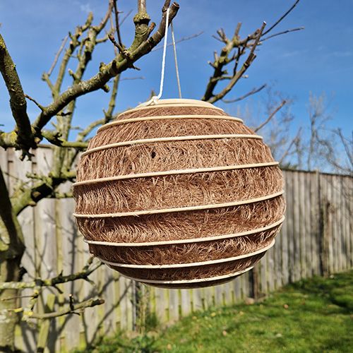 Lampion Bruin in twee maten