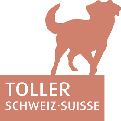 Verein Toller Schweiz Merchandising