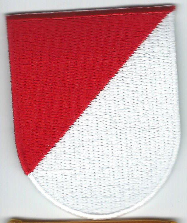Patch, Beret Flash, CAV