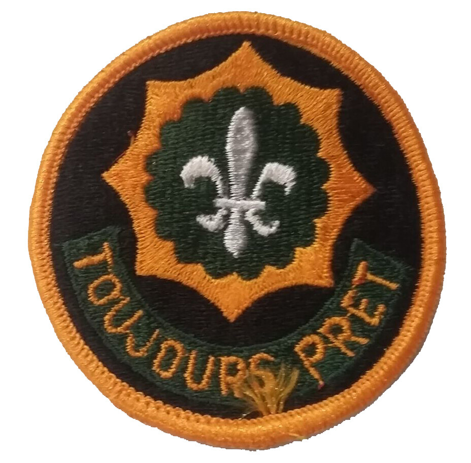 Patch, DUI, 2nd ACR Oval