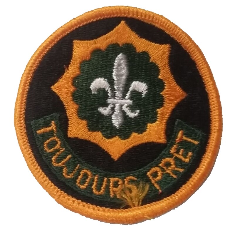 Patch, DUI, 2nd ACR Oval