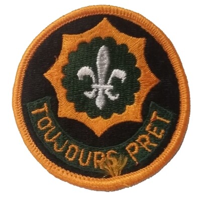 Patch, DUI, 2nd ACR Oval