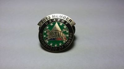 Pin, Lapel/Hat, 2013