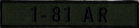 Name Tape, 1-81 Armor OD GREEN
