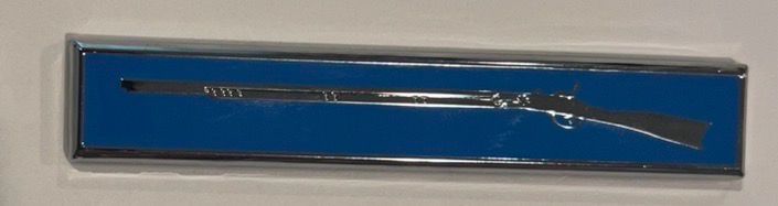 Emblem, Auto, Blue, Riffle