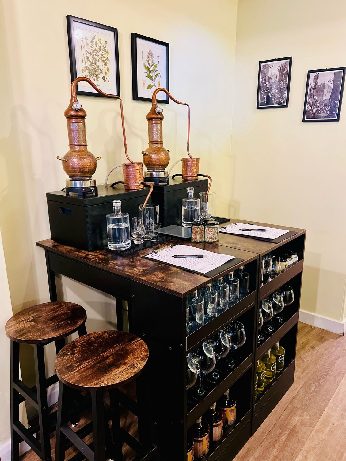 Single Person Gin School