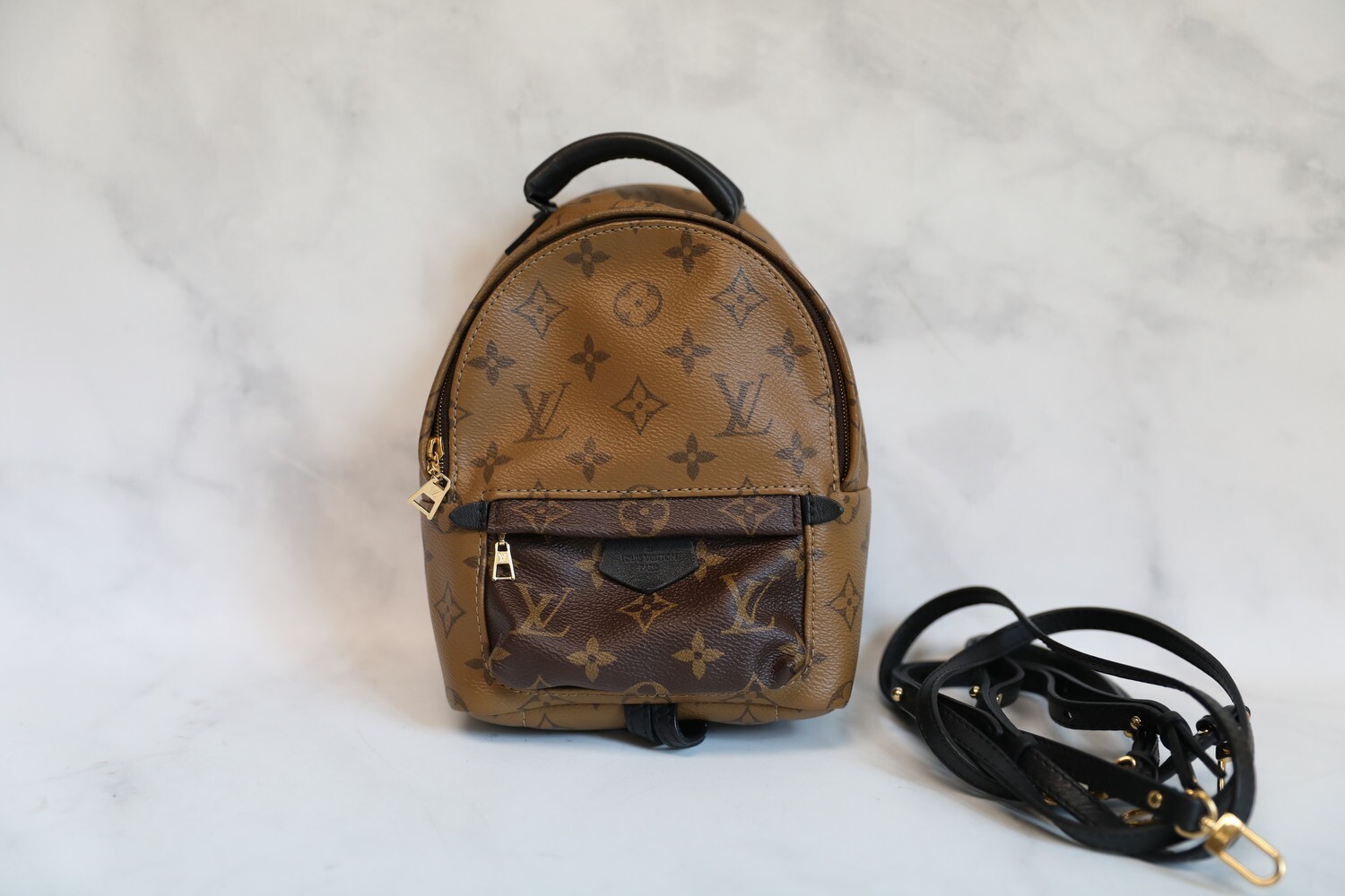 Louis Vuitton Palm Springs Mini Backpack Reverse in Dustbag