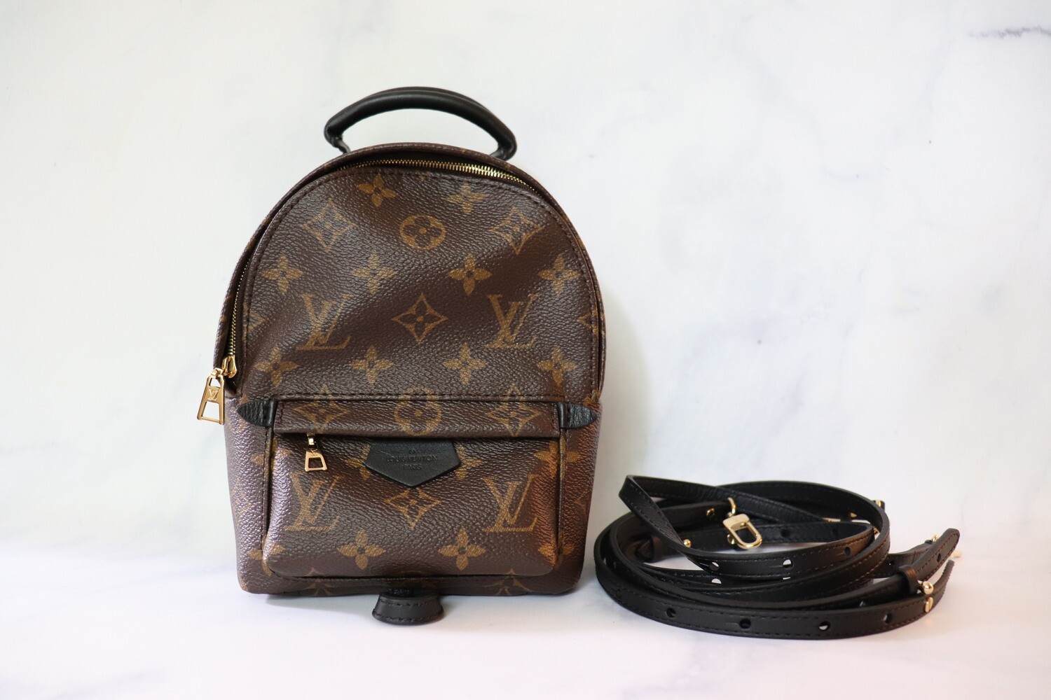 Louis Vuitton Palm Spring Mini Backpack, Preowned in Dustbag