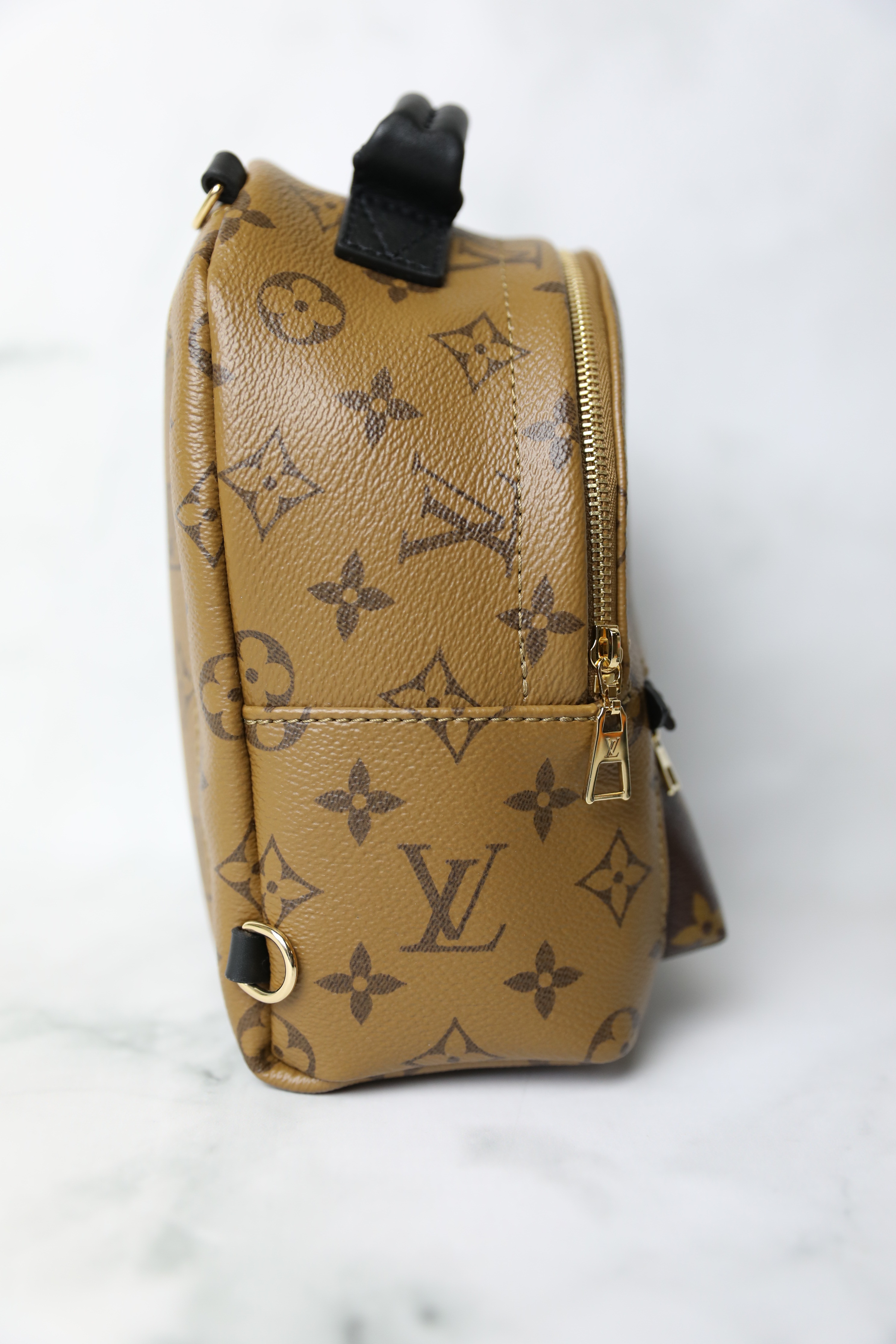 Speedy Louis Vuitton Palm Springs Mini Reverse Cognac Leather ref.245026 -  Joli Closet