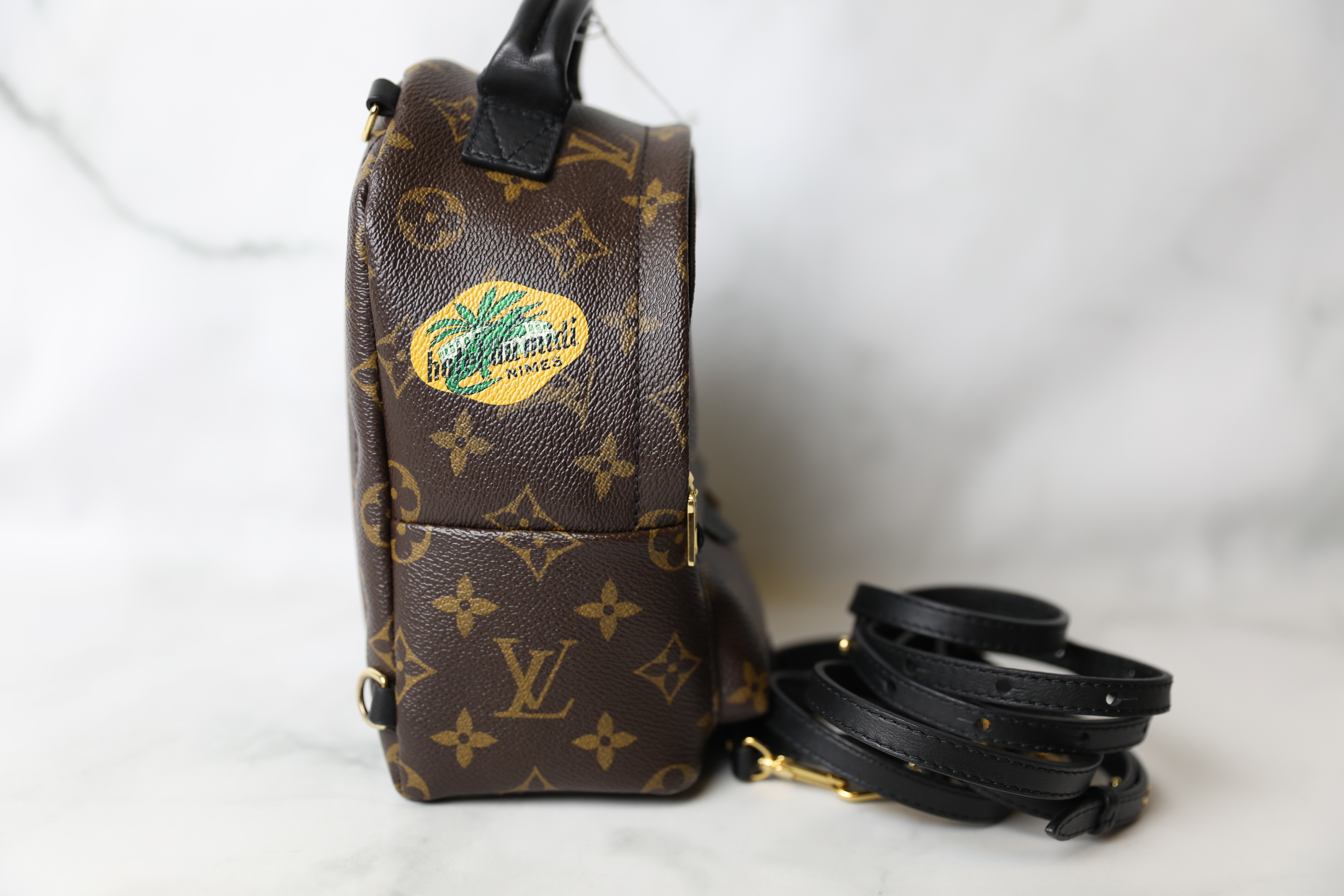 Louis Vuitton Palm Springs Backpack Limited Edition World Tour Monogram  Canvas Mini Brown 2341991