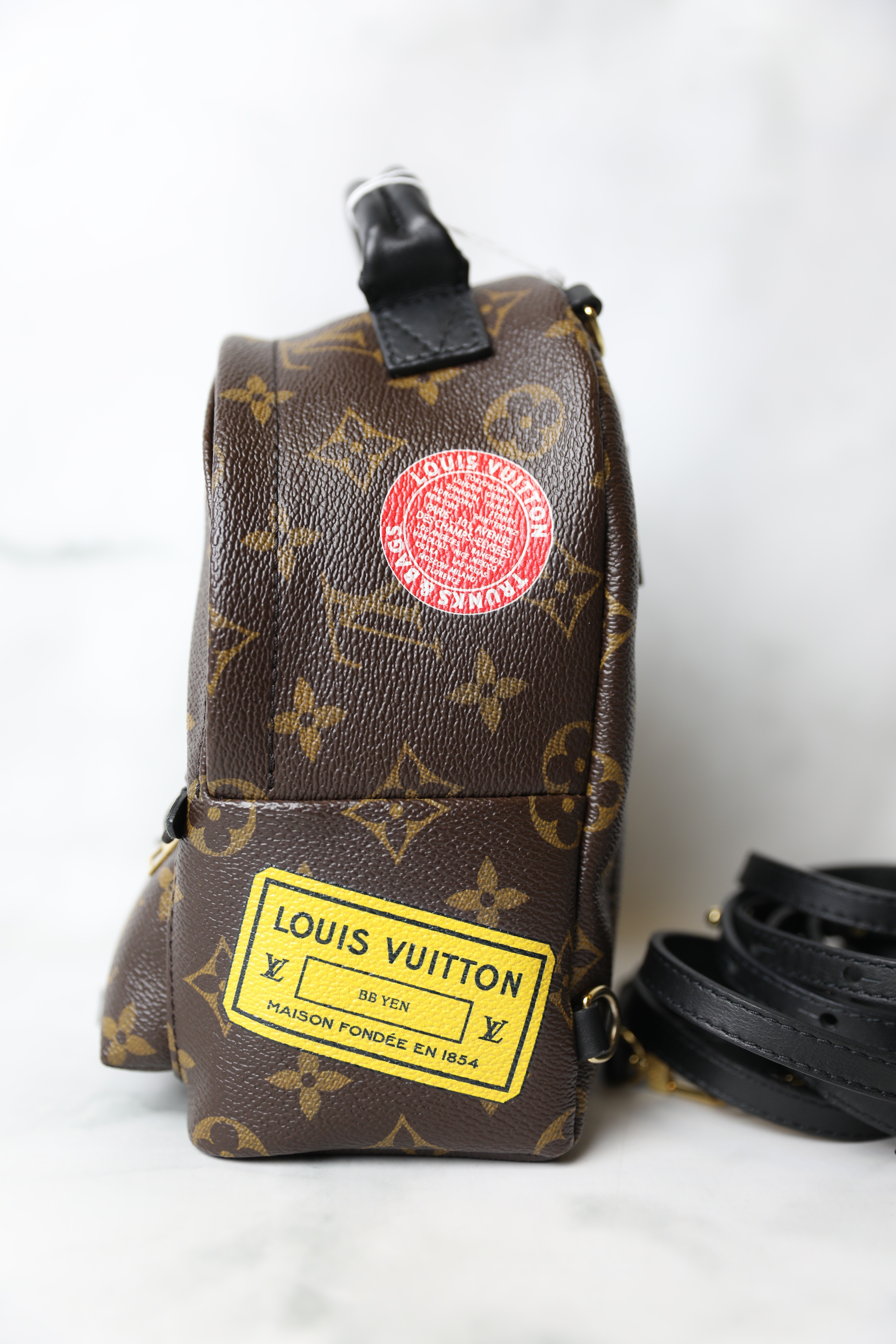 Louis Vuitton Monogram My World Tour Palm Springs Backpack Mini Multiple  colors Cloth ref.623615 - Joli Closet