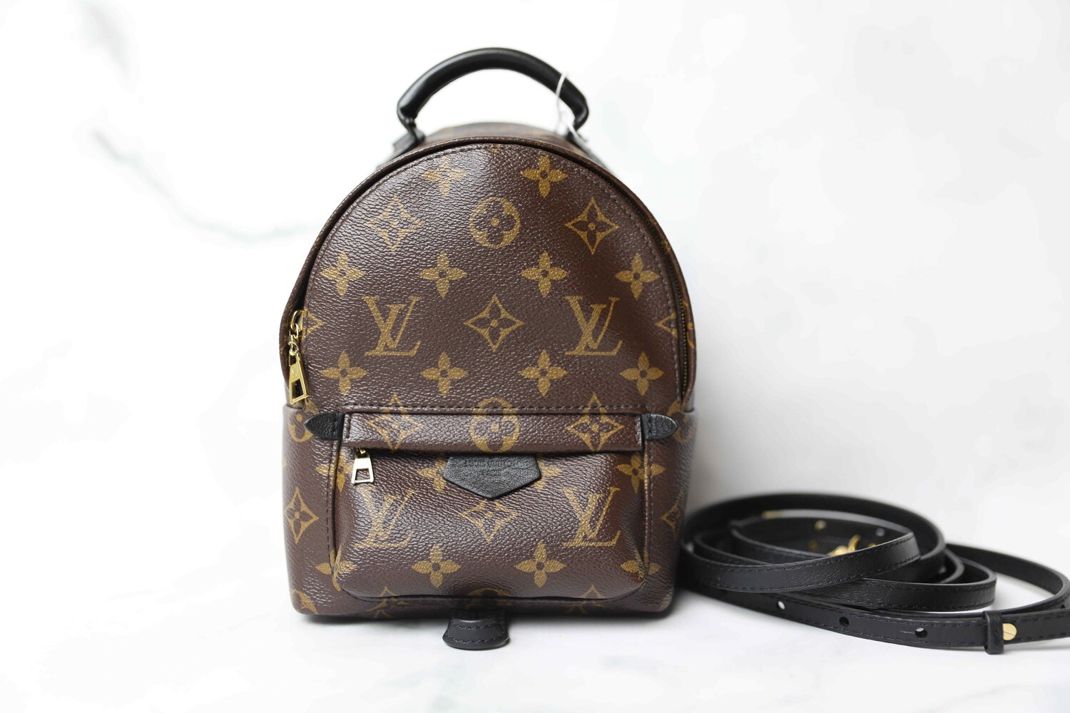 Louis Vuitton Palm Springs Mini, Preowned in Dustbag WA001
