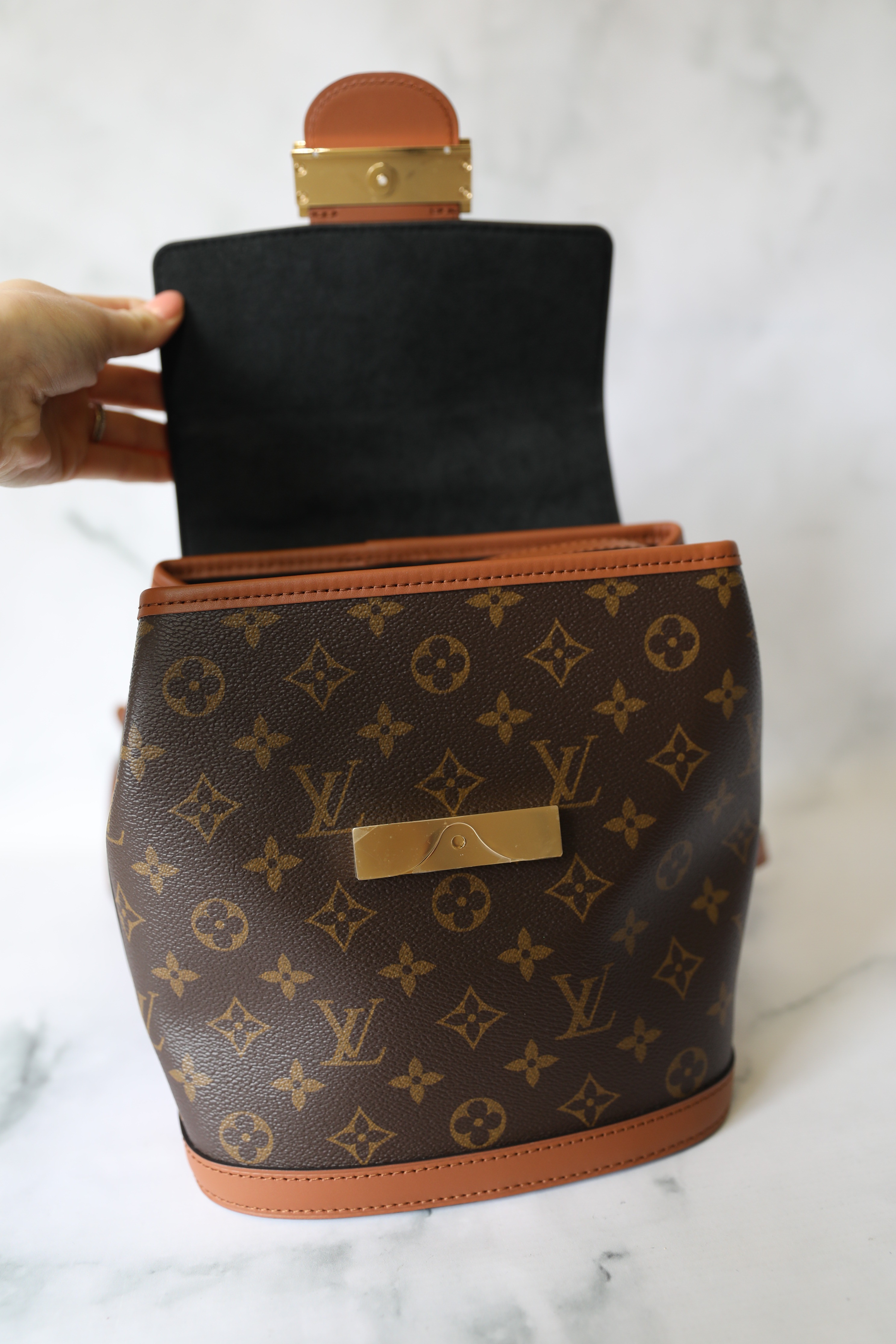 Bag Talk: Louis Vuitton Dauphine Backpack