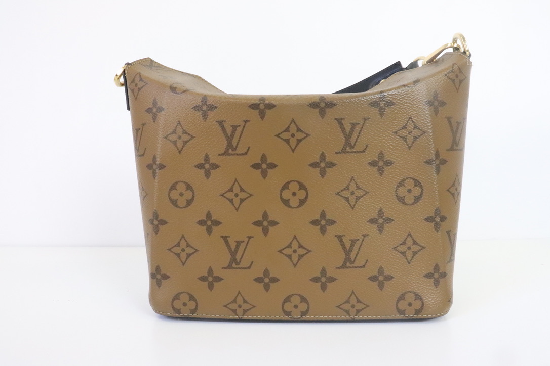 Louis Vuitton Bento Box Bag