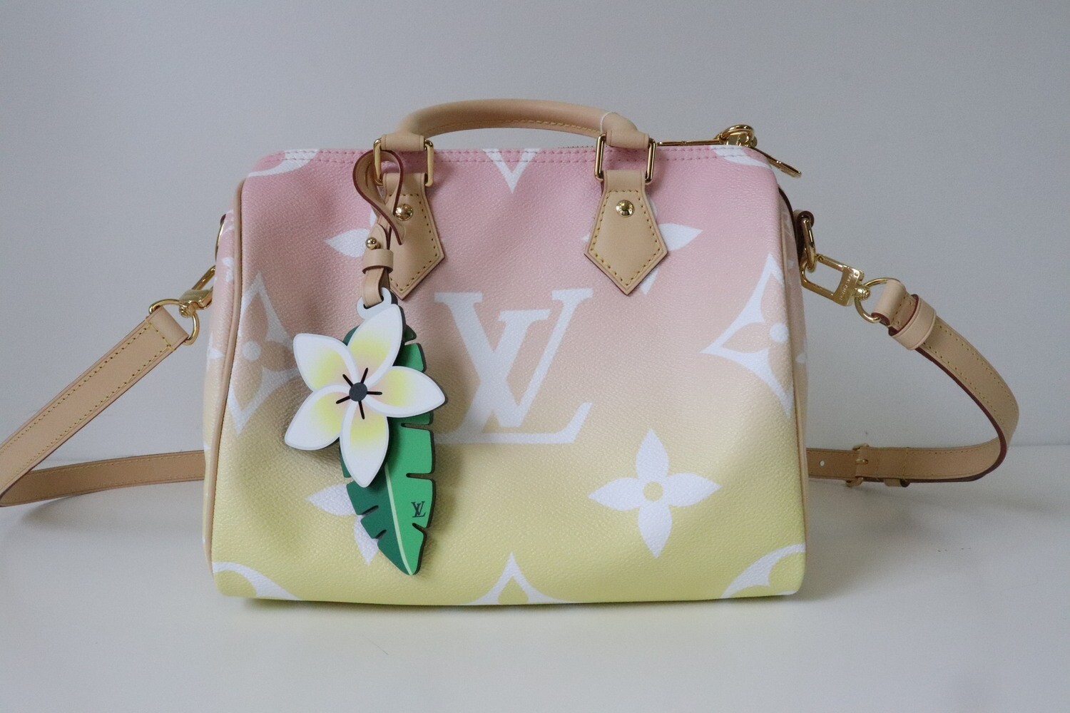 louis vuitton by the pool speedy