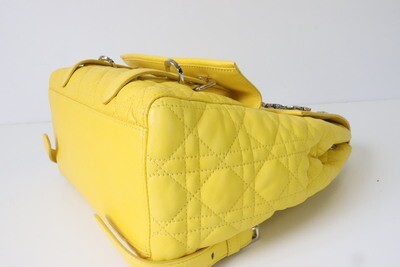 Dior Stardust Backpack Yellow with Dragonfly Crystal  display picture 3