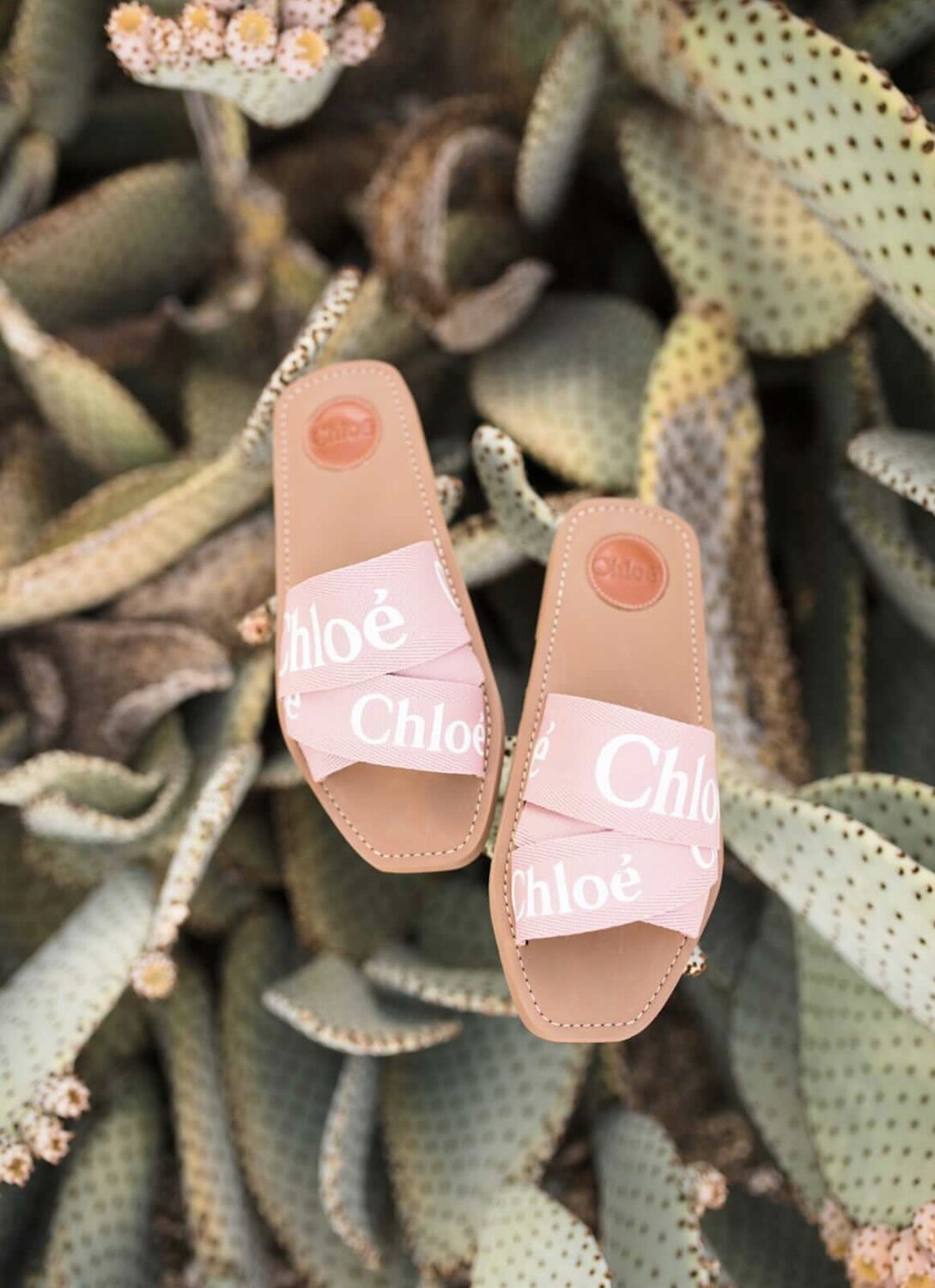 Sarah Tripp Closet Sale Chloe Shoes Fabric Woody Slides Flats Pink, Preowned Size 39 - No Box