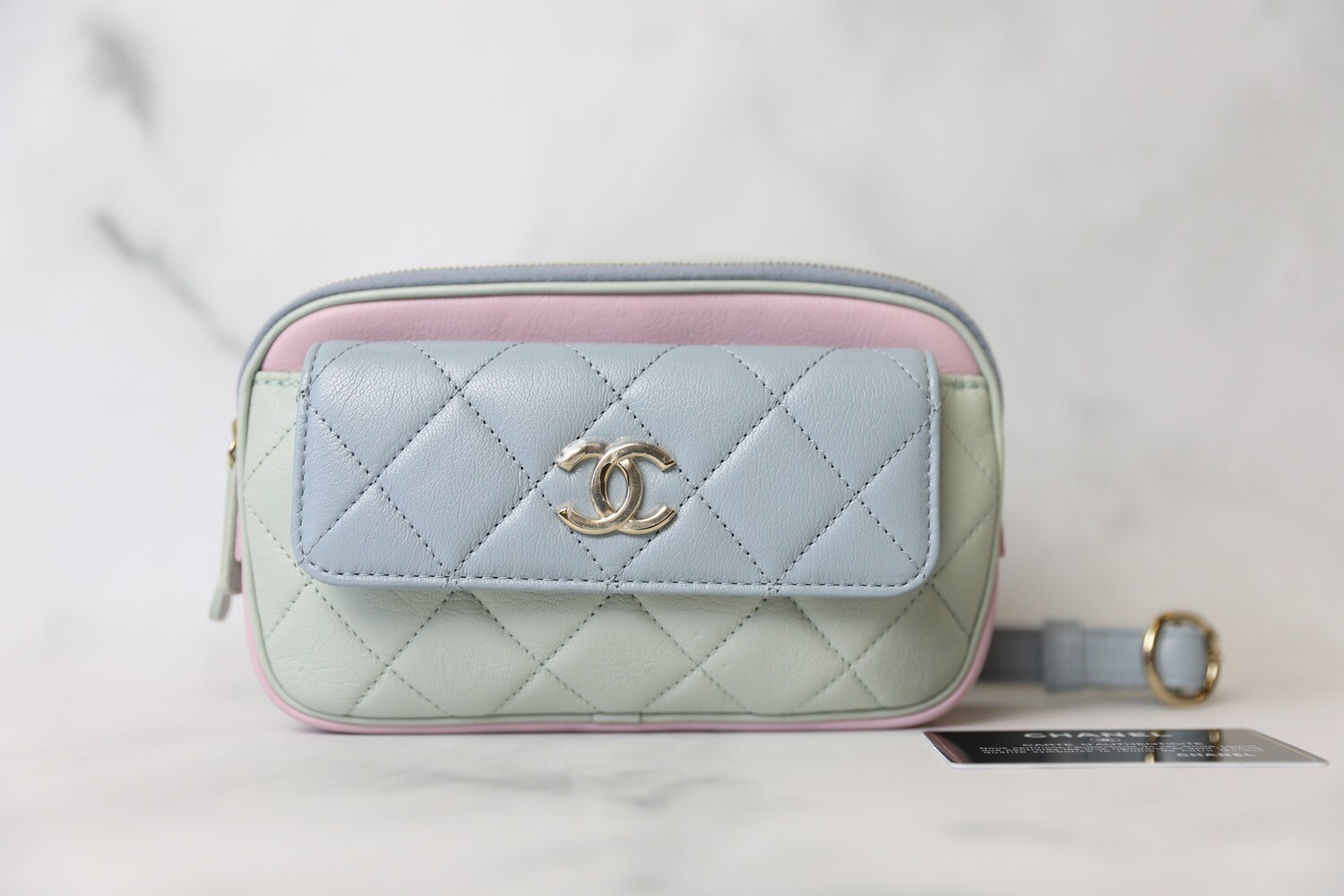 Chanel Waist Bag, Pastel Calfskin with Gold Hardware, New in Box WA001