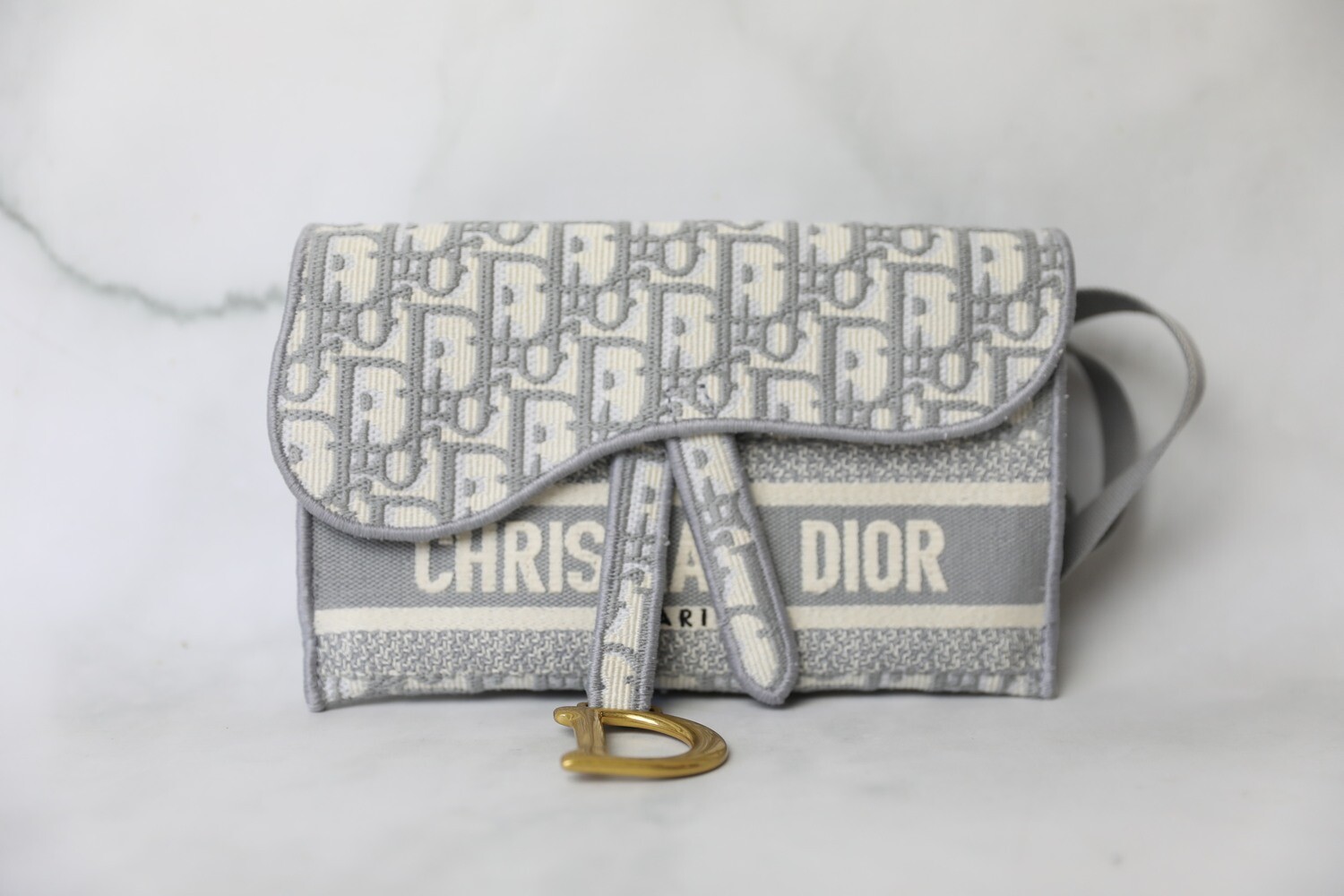 Christian Dior Saddle Flat Belt Pouch, Grey, New in Box WA001