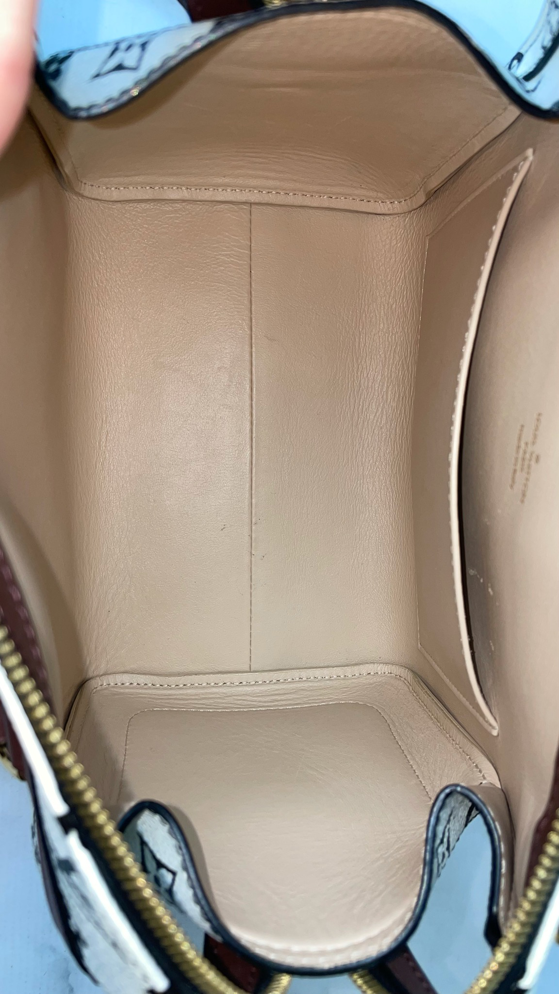 Speedy handbag Louis Vuitton Brown in Plastic - 32583917