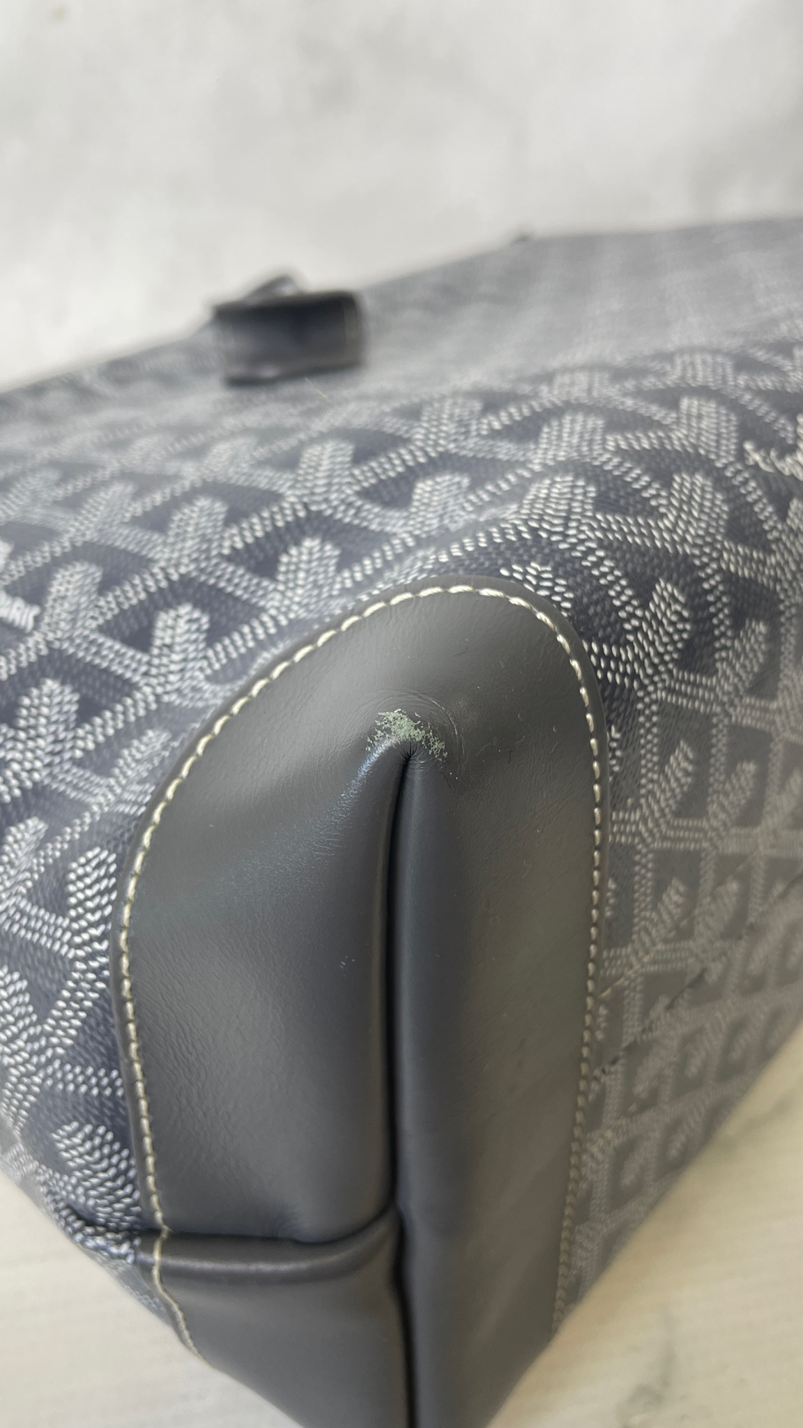 Bellechasse cloth handbag Goyard Black in Cloth - 26900945