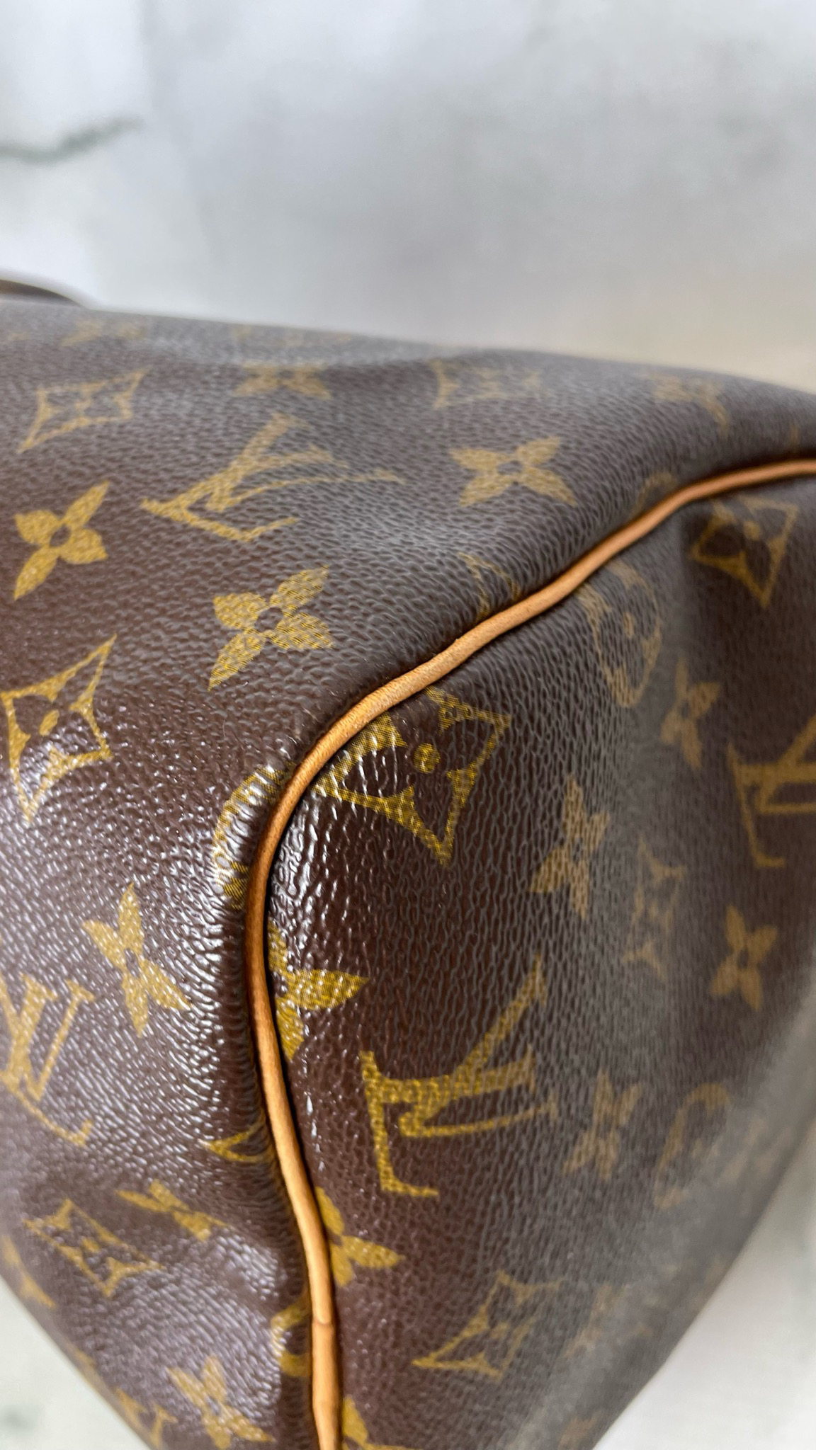 Louis Vuitton Speedy 25 Puffer Bag, Monogram Top Handle, New in Dustbag  WA001 - Julia Rose Boston