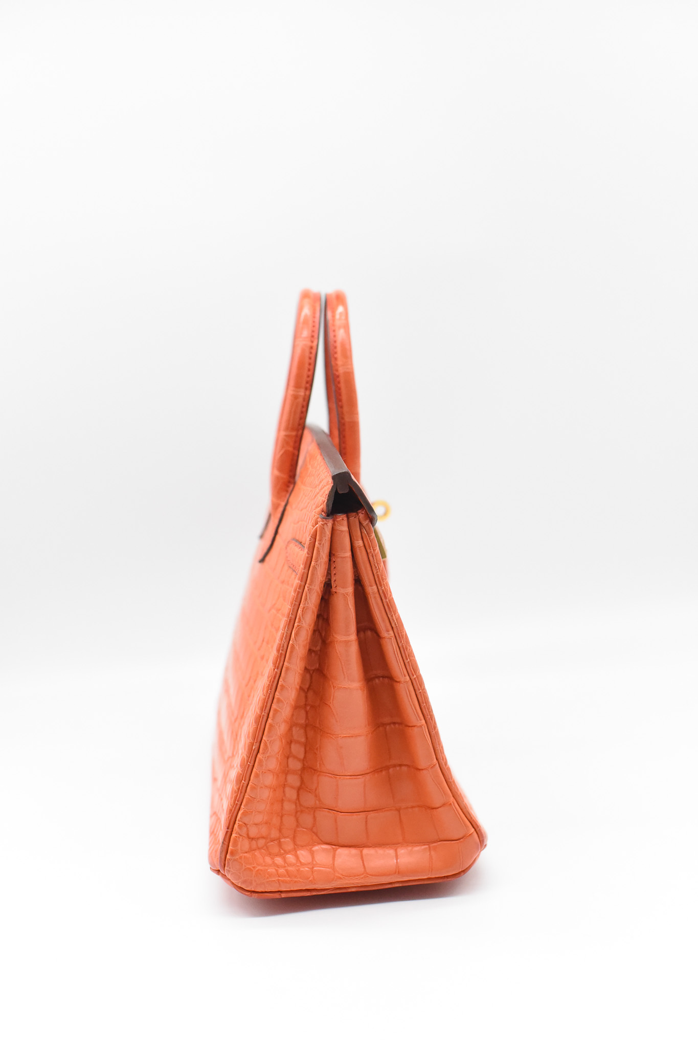 Ariadna Gutiérrez Closet Sale: Hermes Birkin 25, Orange Croc with
