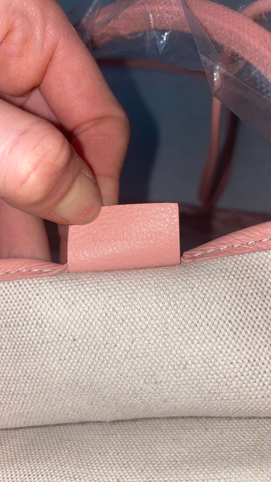 Goyard Poitiers Claire-Voie Mini Goyardine Pink Skinny Tote, New In Dustbag  WA001