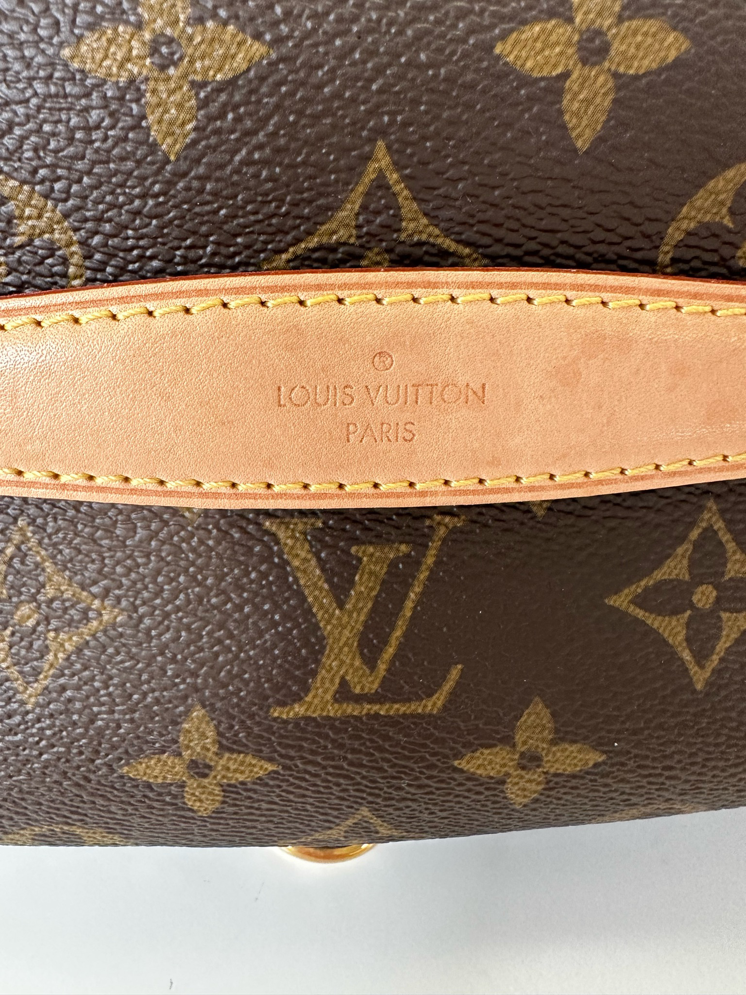 Louis Vuitton Bumbag, Monogram, Preowned in Box WA001 - Julia Rose