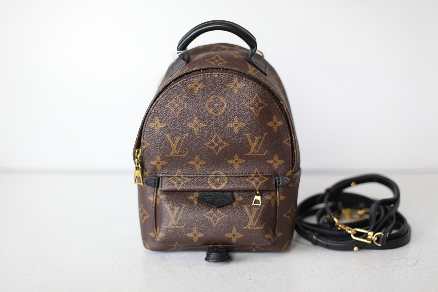 The Louis Vuitton Palm Springs Backpack Mini – A Rose In The City