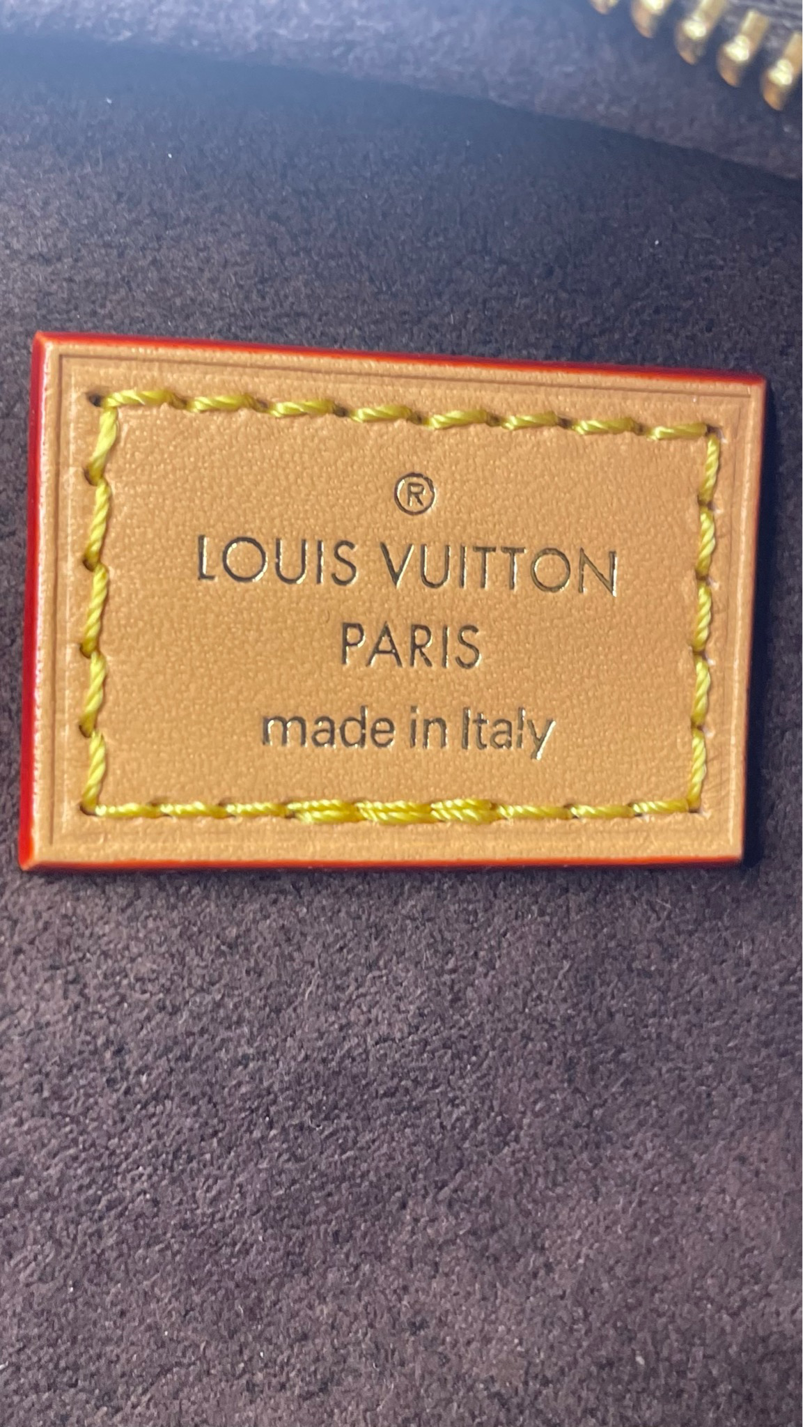 Louis Vuitton Loop Hobo, Monogram, New in Box WA001 - Julia Rose Boston