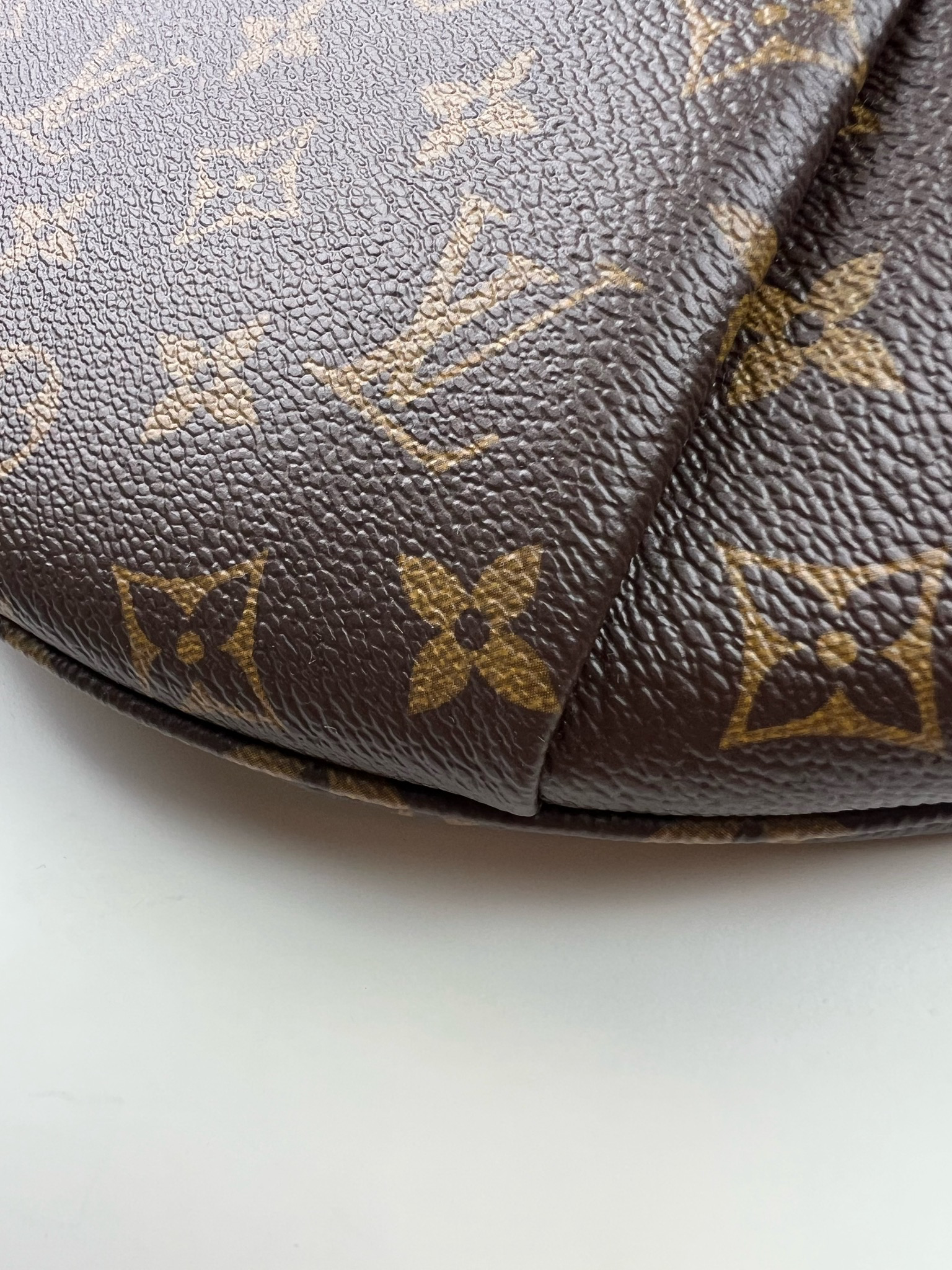 Louis Vuitton Bumbag Fanny Pack Monogram Brown – The Luxury Shopper