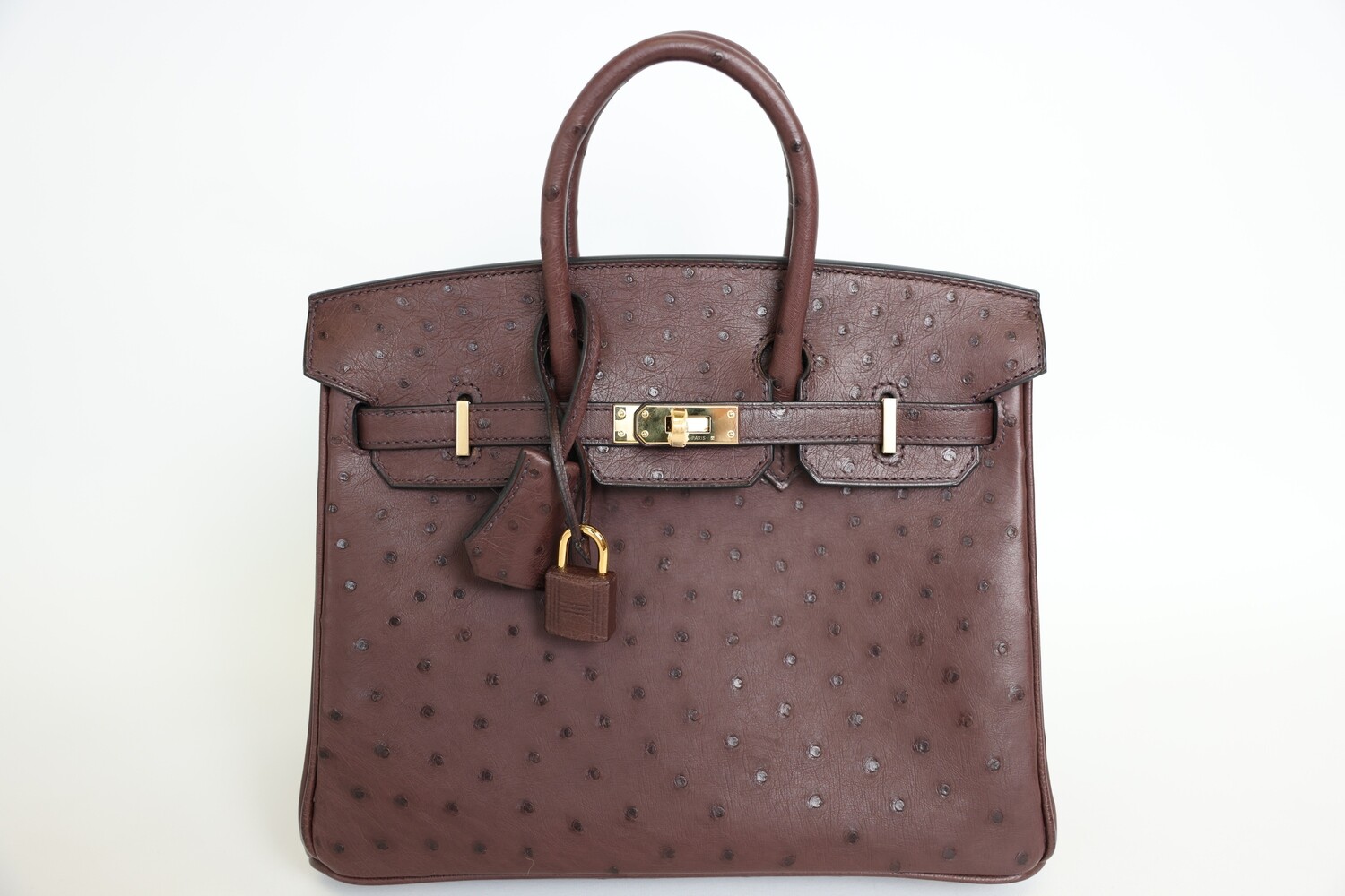 Hermes Birkin 25, Burgundy Ostrich Leather with Gold Hardware, New in Box WA001