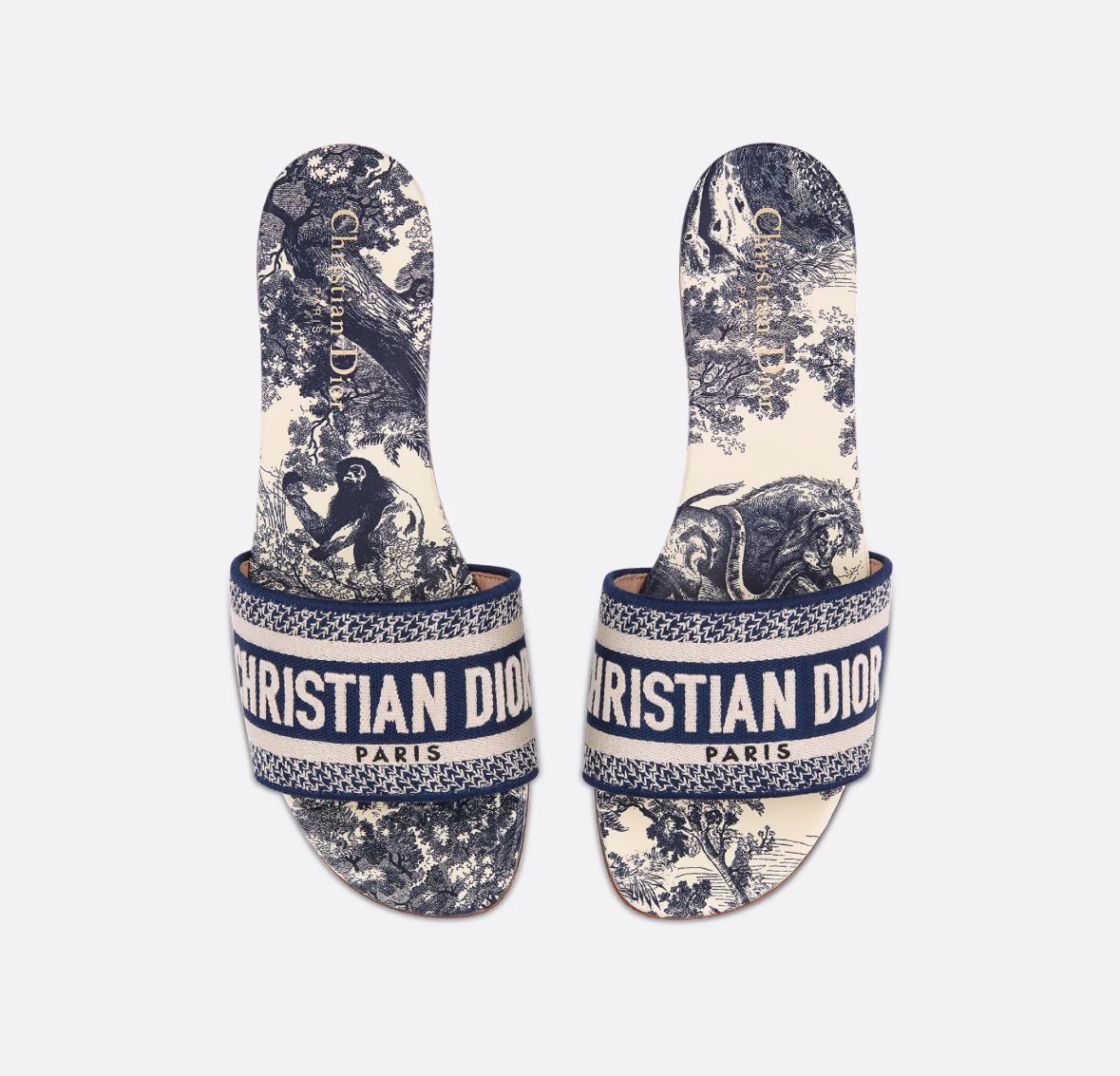 Dior Shoes, Dway Slide Embroidered Cotton and Vibrant Blue Toile de Jouy Motif, Size 39 As New in Box and Dustbag (Ships from London)