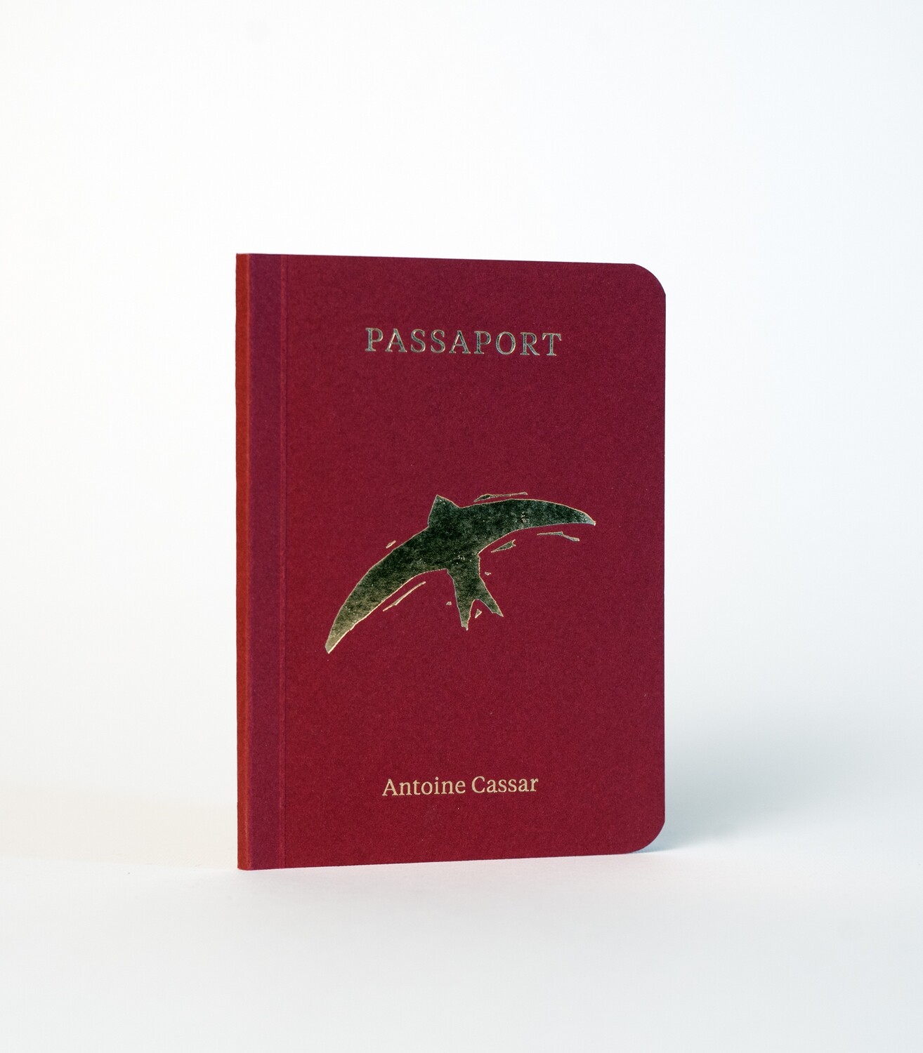 Passaport (2019)