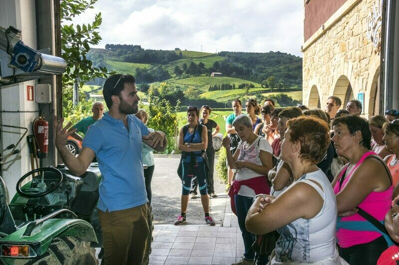 TOUR WITH WINE TASTING
