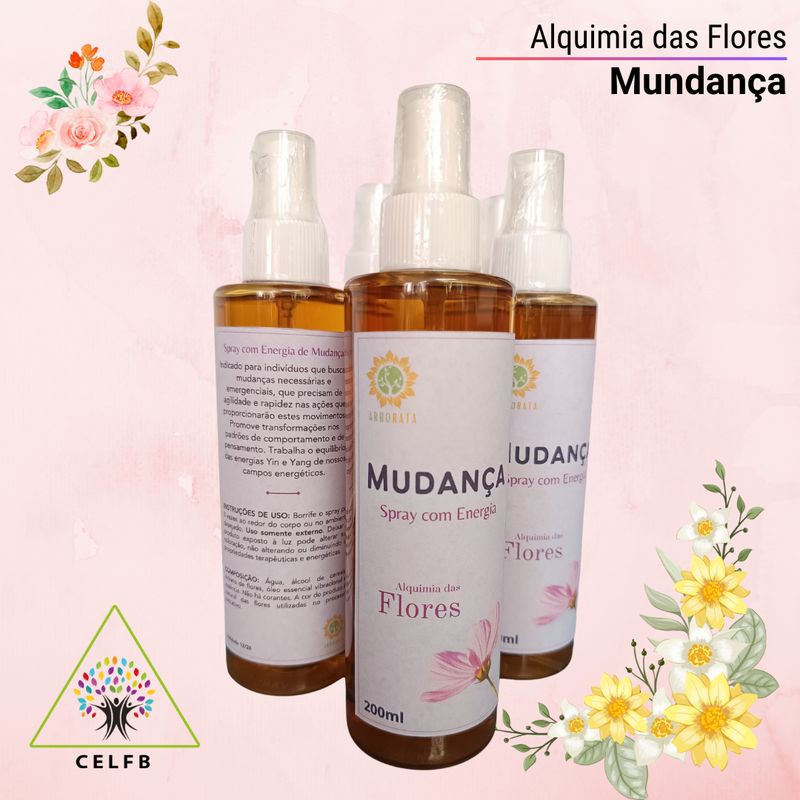 Mudança