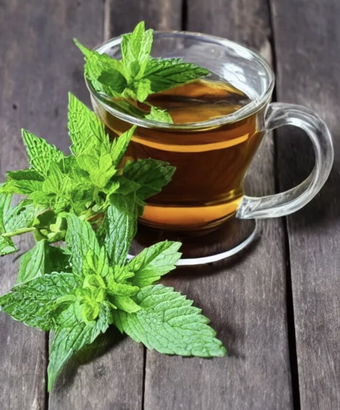 Natural Hemp Tea with Mint