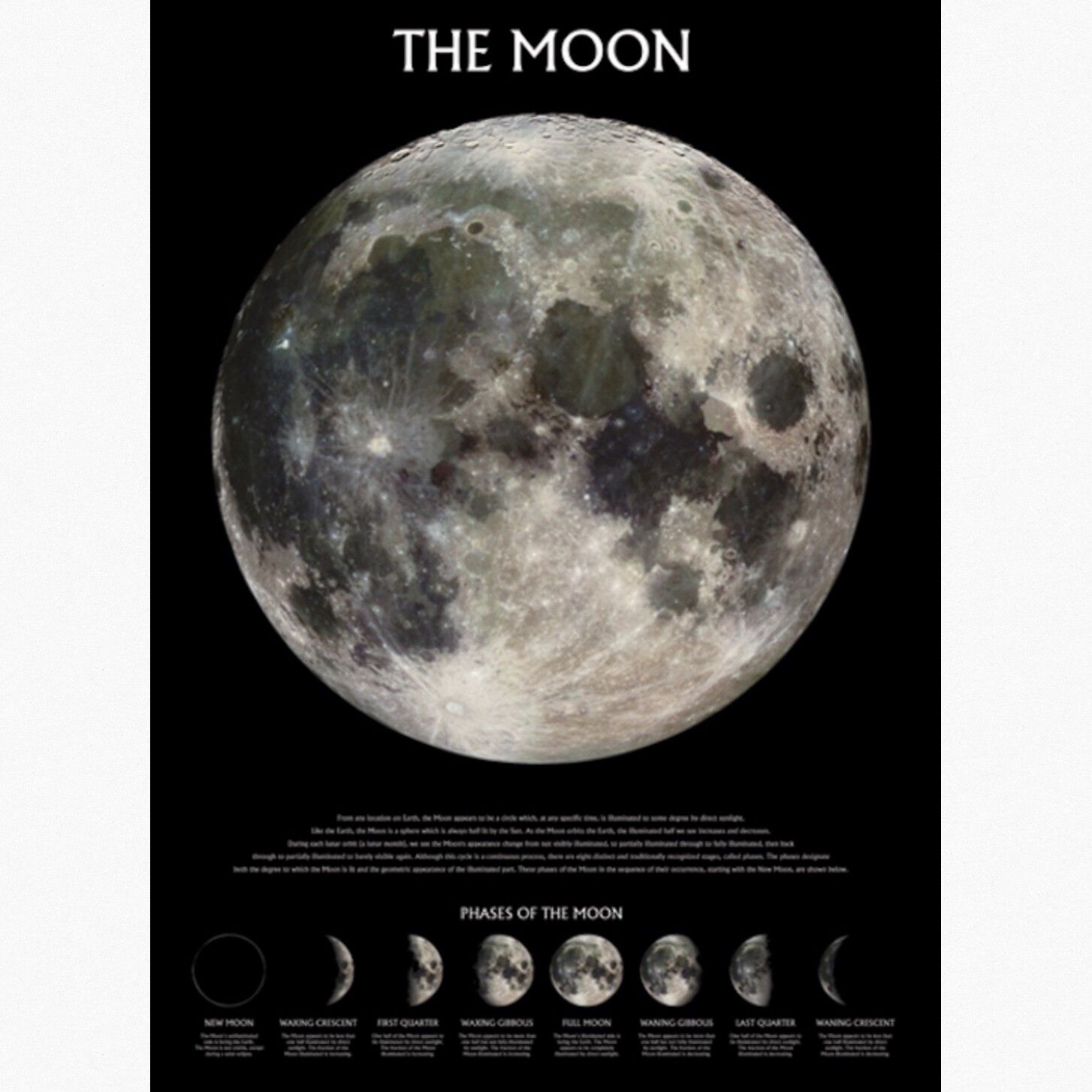 THE MOON POSTER