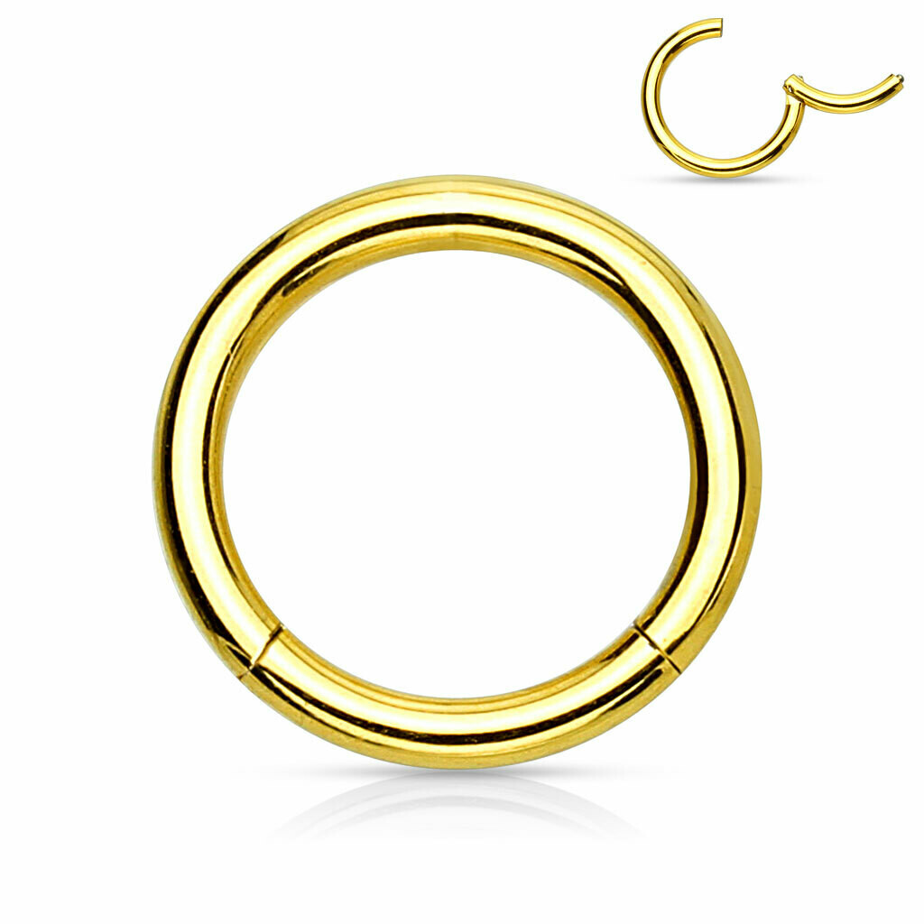 2PK GOLD HINGE SEGS