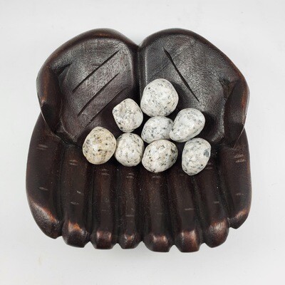 DALMATION JASPER TUMBLED STONE