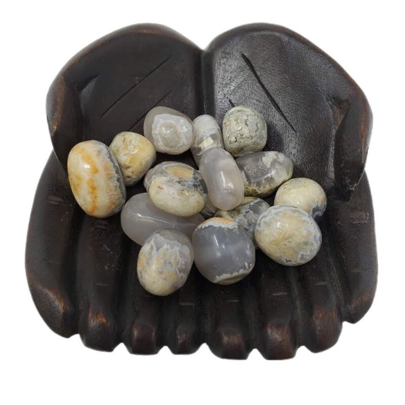 OPALIZED PETRIFIED WOOD TUMBLED STONE