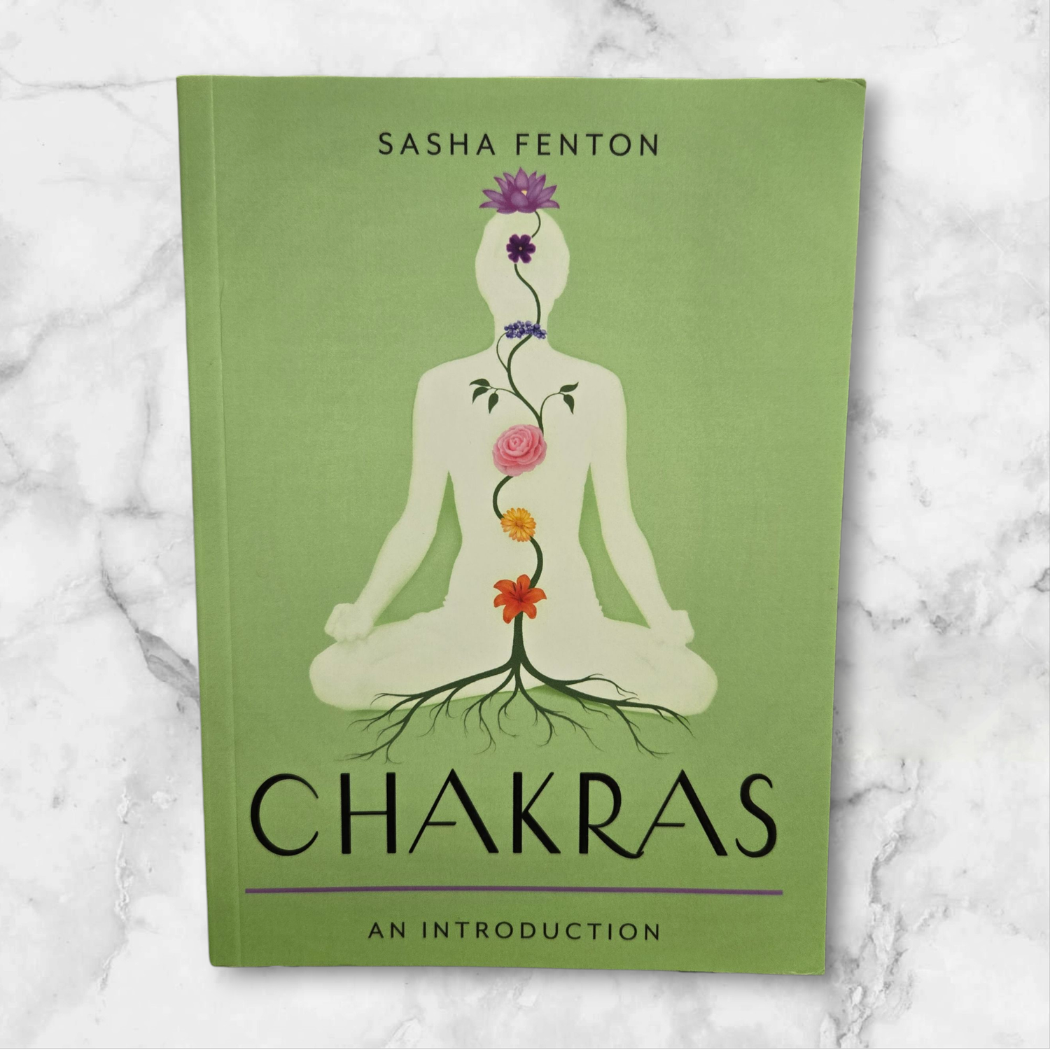 CHAKRAS AN INTRODUCTION