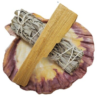 White sage bundle and Palo Santo stick resting on an abalone shell, traditional tools used for energy cleansing.