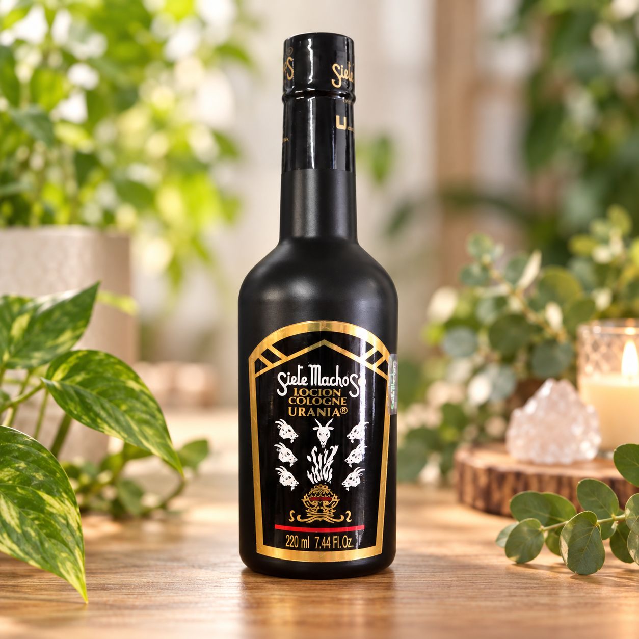 Siete Machos Cologne 7.44 oz black bottle displayed on a light wooden table with greenery.