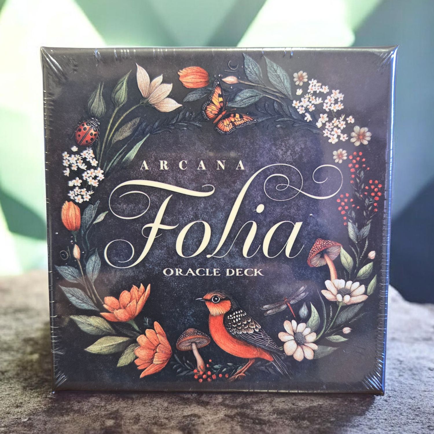 ARCANA FOLIA ORACLE DECK (ROUND) Arcana Folia Oracle deck with botanical forest artwork at Arkady’s Metaphysical Gifts in Amarillo Texas