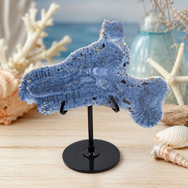 Unique blue coral slab with black stand on sea themed altar display.