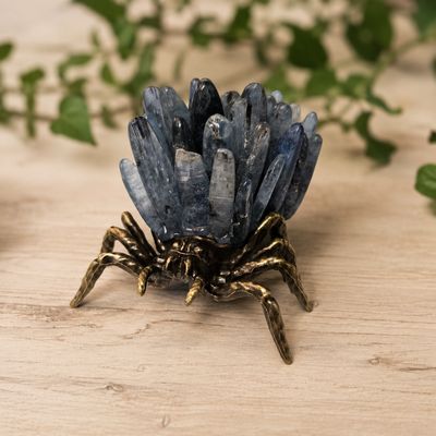 Front of blue kyanite cluster spider on light wood table with greenery background